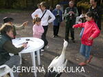 Perníkiáda s VŘSR 2006