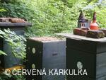 Medobraní s dětským dnem 2009