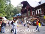 Království perníku 2009