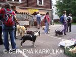 Medobraní a Den dětí 2010